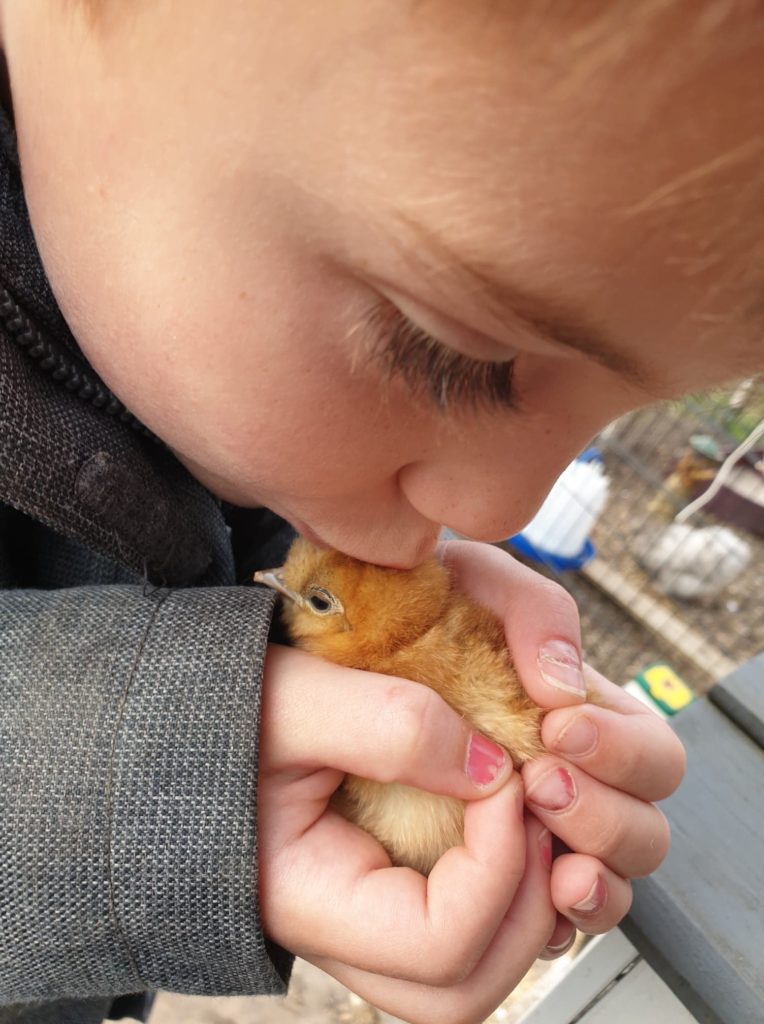 kindje met zijdehoen kuikentje